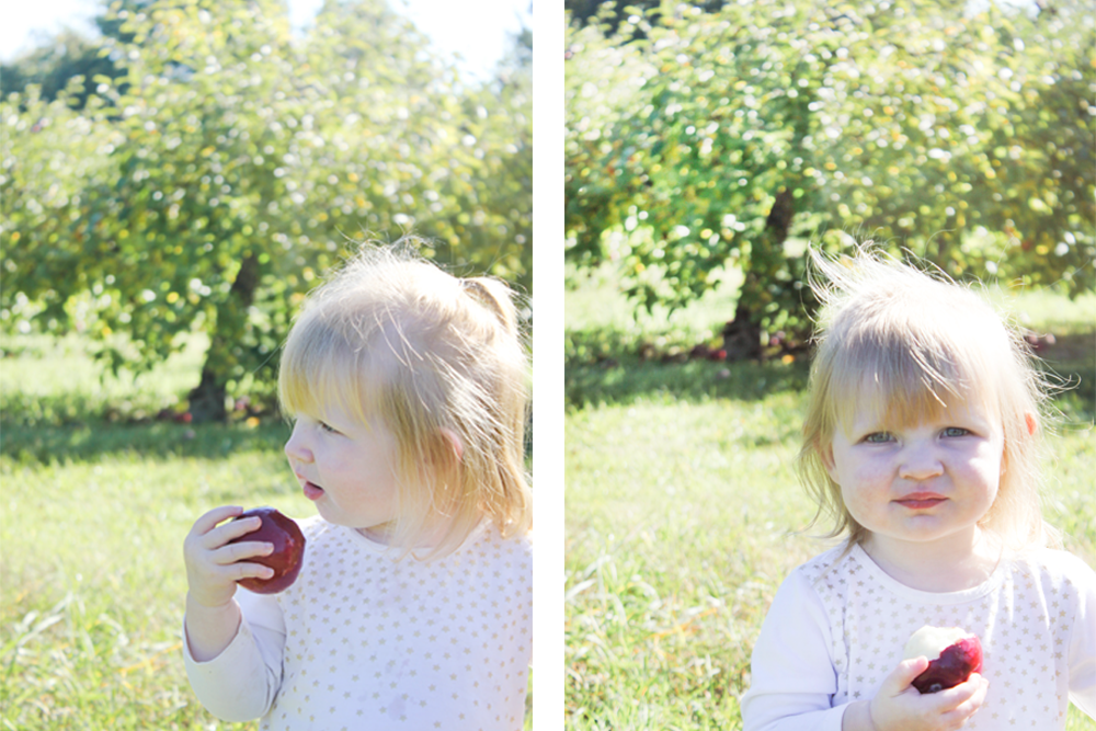 Apple1