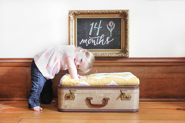 Fourteen Months with Olive